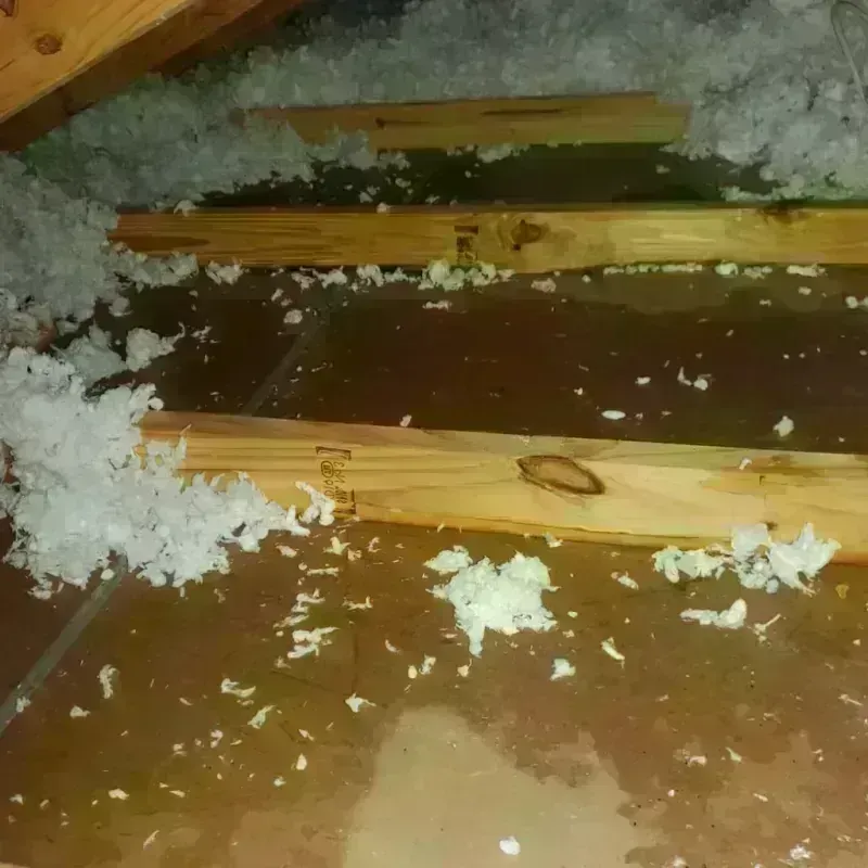 Attic Water Damage in Frenchtown, MT